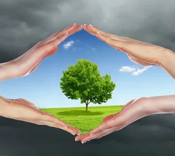 بررسی اثرات باربری بر آلودگی هوا
